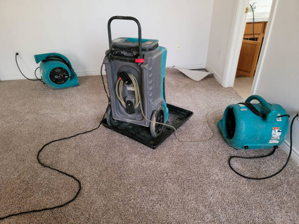 Best Sewage cleanup and water damage restoration  in Peoria, AZ