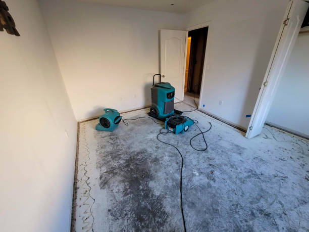 Best Flooded house restoration  in Peoria, AZ
