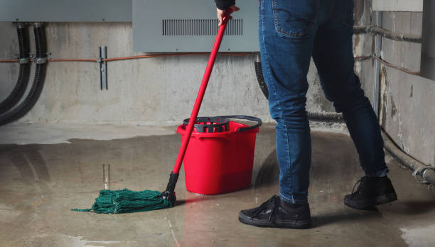 Best Carpet water damage restoration  in Peoria, AZ